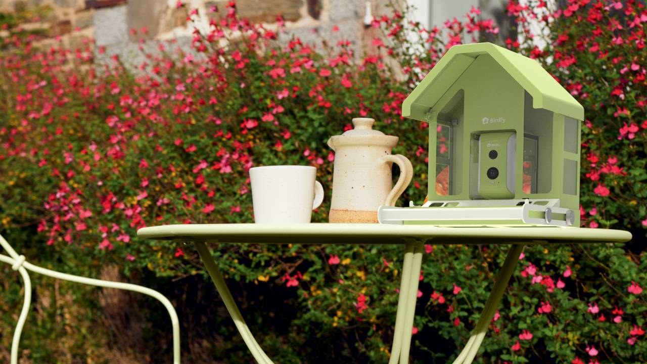 Birdfy Feeder Metal