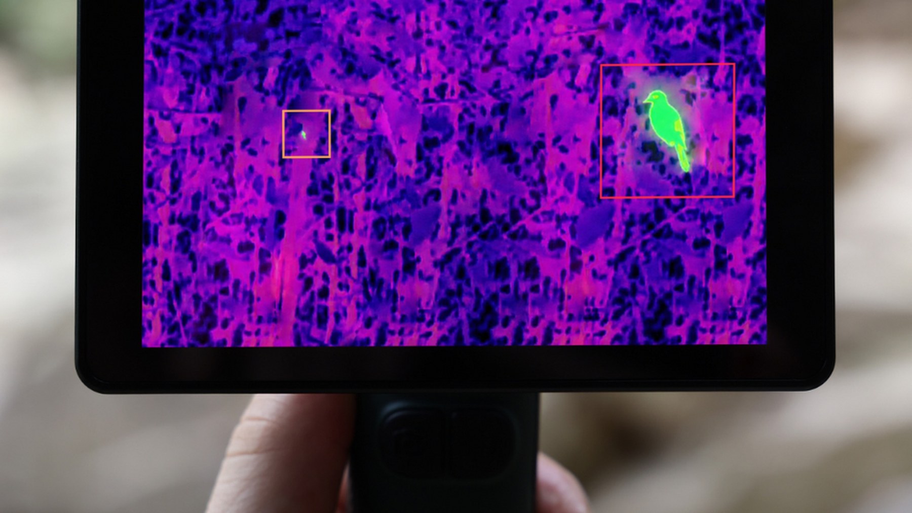 Rovex Handheld Thermal Camera for Birdwatching